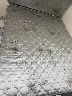 Slight Night Orthopedic Comp Bed
