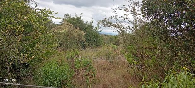 Nyeri, Mweiga 25 Acres Flat Land Bondering Sangare Homes