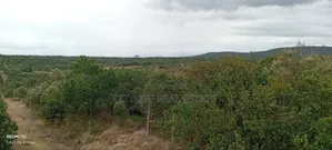 Nyeri, Mweiga 25 Acres Flat Land Bondering Sangare Homes