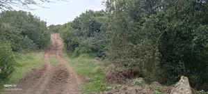 Nyeri, Mweiga 25 Acres Flat Land Bondering Sangare Homes