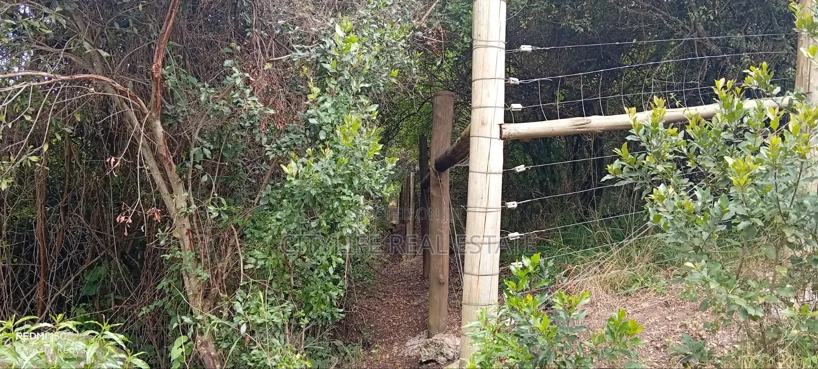 Nyeri, Mweiga 25 Acres Flat Land Bondering Sangare Homes