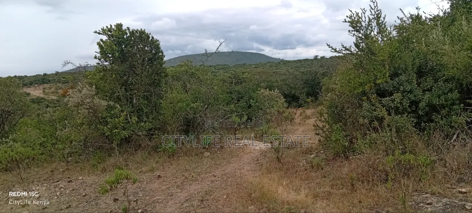 Nyeri, Mweiga 25 Acres Flat Land Bondering Sangare Homes