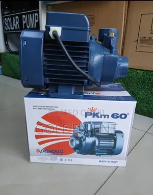Pedrollo 0.5hp Water Pump/Pedrollo Water Pump