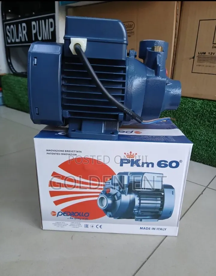 Pedrollo 0.5hp Water Pump/Pedrollo Water Pump