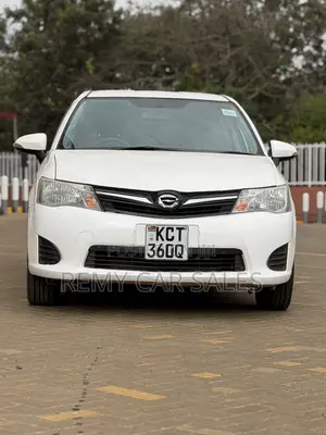 Toyota Corolla Fielder 2013 White
