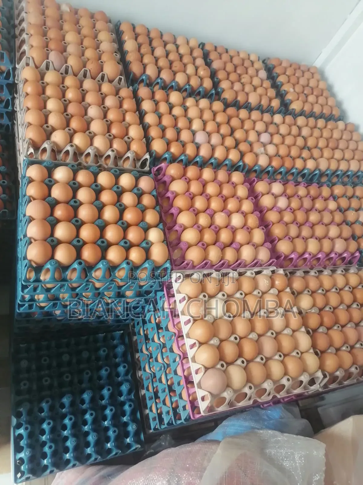 Eggs for Sale