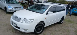 Toyota Corolla Fielder 2005 White