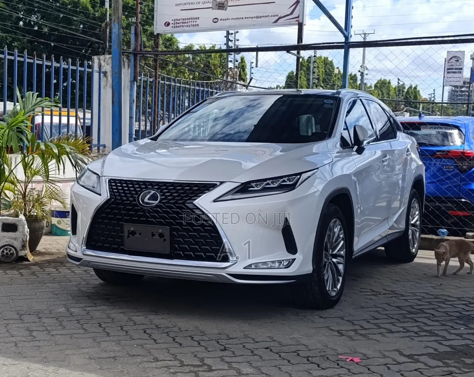 Lexus RX 300 2WD 2019 Pearl