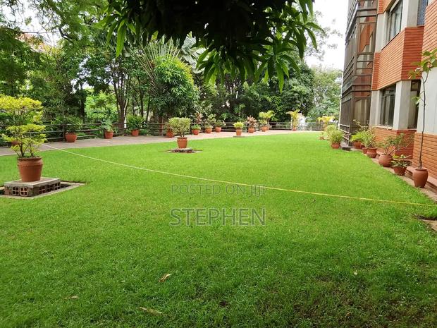 Furnished 2bdrm Apartment in Parklands for rent - thumbnail 3