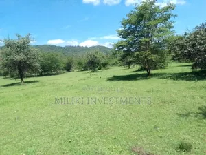 3. 6 Acres on Sale at Makutano