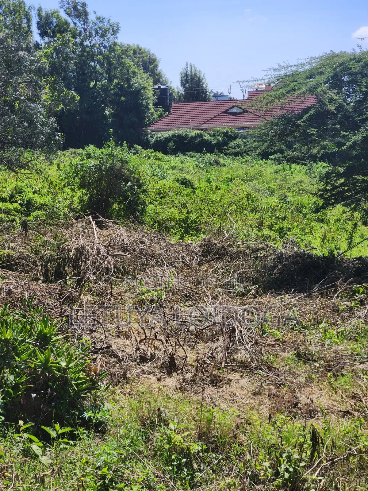 Prime 1⁄8 Acre Plots Ngong-Kibiko (Maragara Rd)