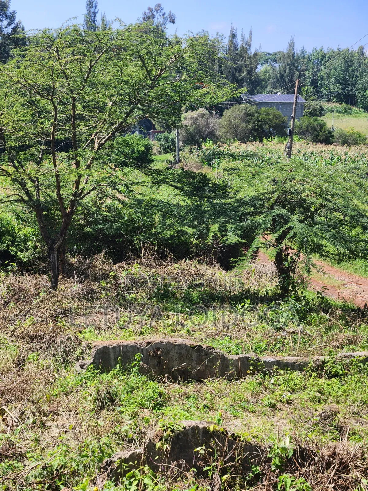 Prime 1⁄8 Acre Plots Ngong-Kibiko (Maragara Rd)