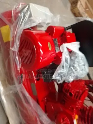Car Washing and Detailing Heavy Duty Air Compressor Sunshine