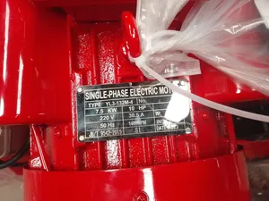 Car Washing and Detailing Heavy Duty Air Compressor Sunshine