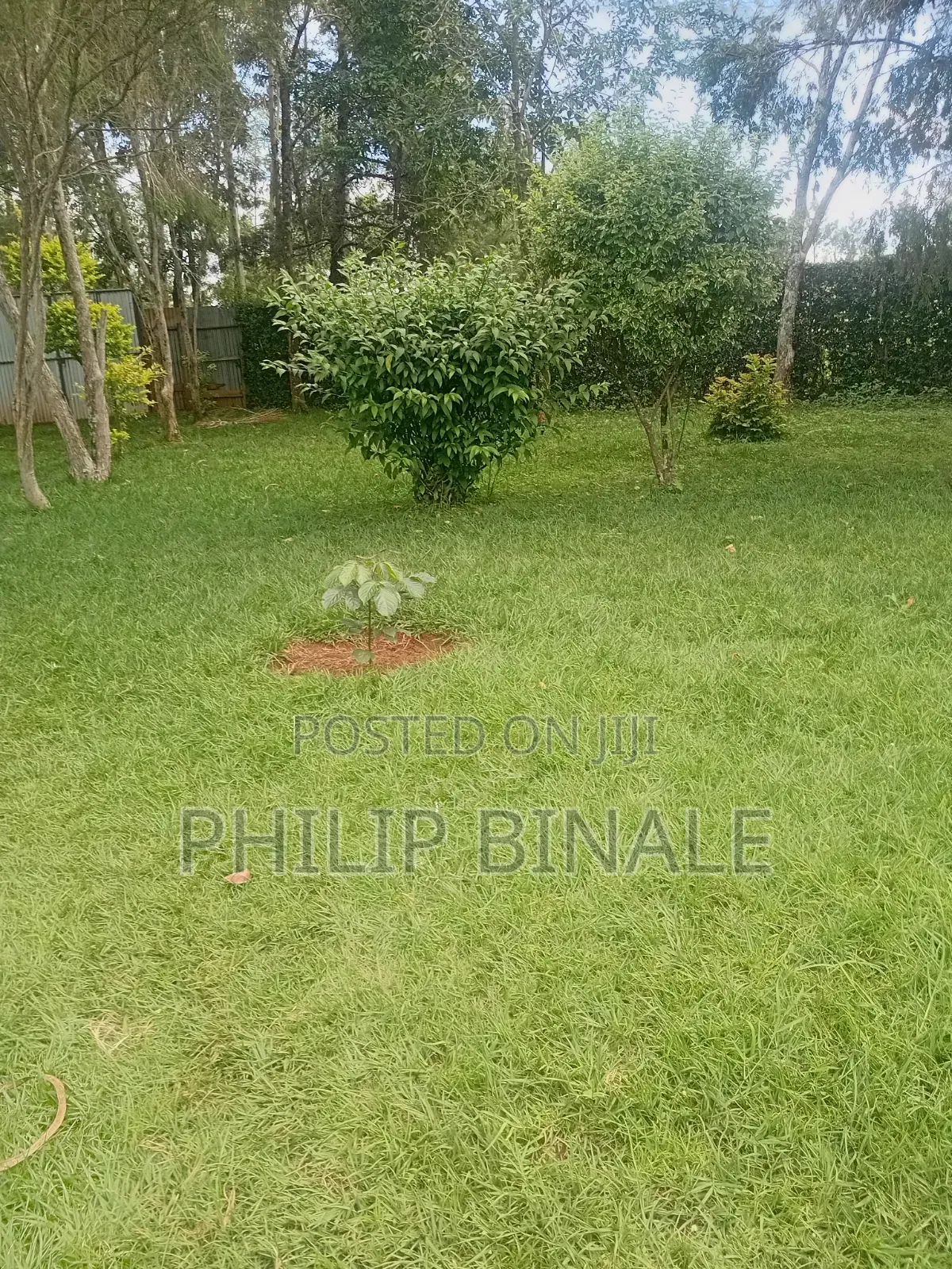Prime Land