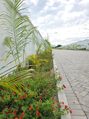 Land for Sale in Kilifi Vipingo