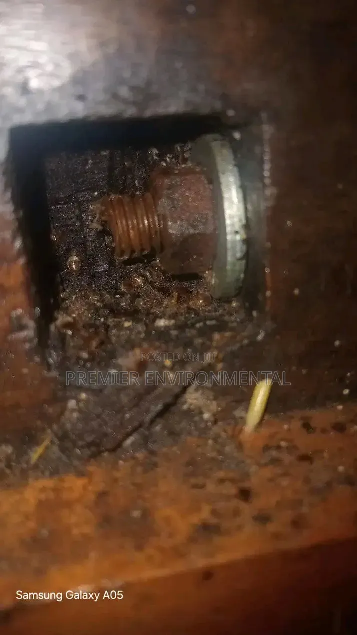 Premier Pest Control And Cleaning Services