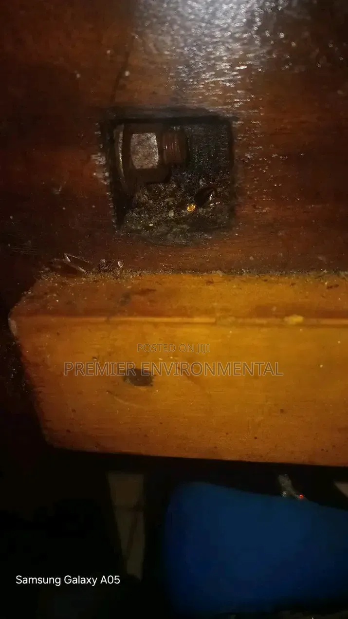 Premier Pest Control And Cleaning Services