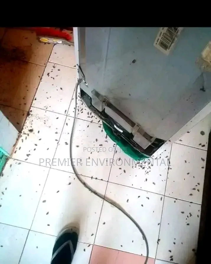 Premier Pest Control And Cleaning Services