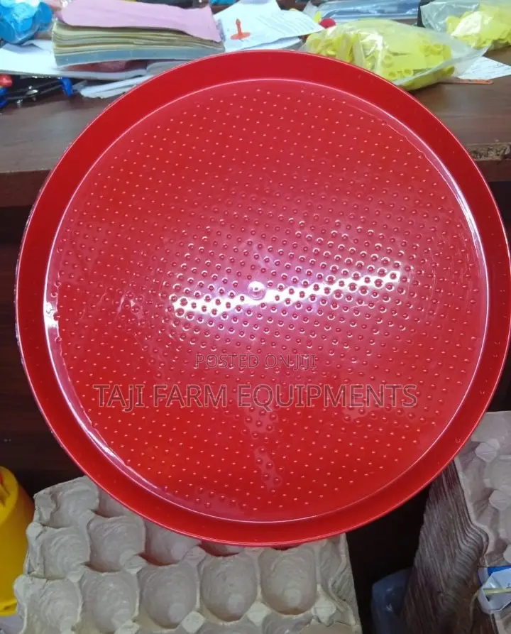 Chick Feeding Trays