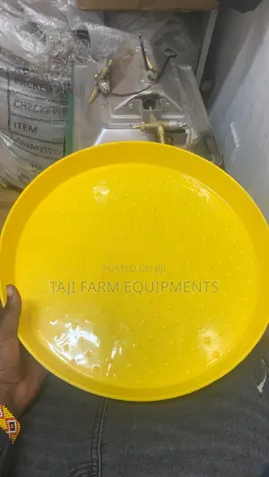 Chick Feeding Trays