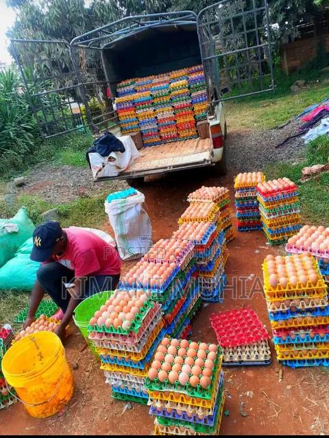 Key Money Farm Fresh Eggs