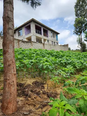 1⁄4 Acre Ngong-Lemiso Road (Silicon Valley)