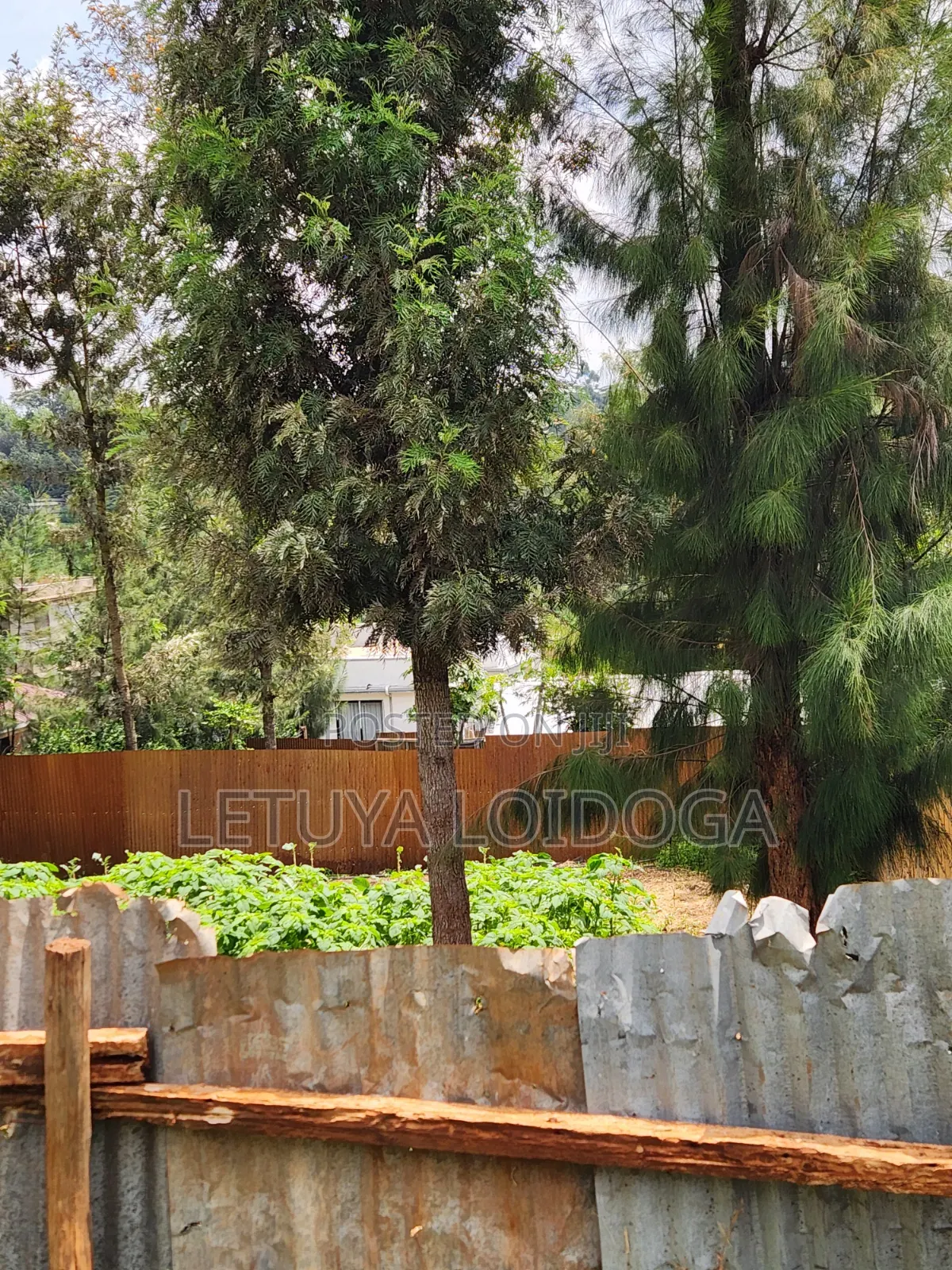 1⁄4 Acre Ngong-Lemiso Road (Silicon Valley)