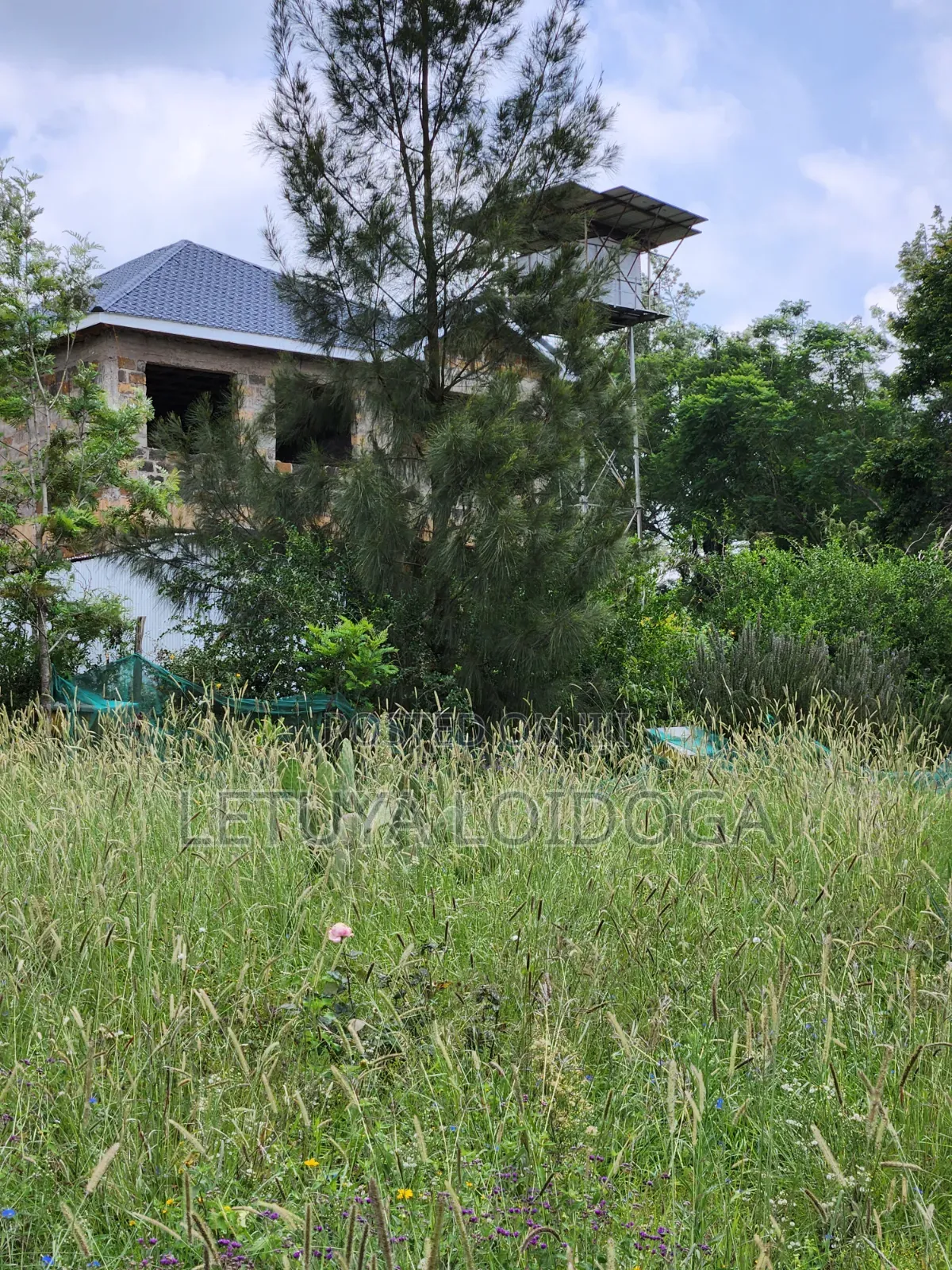 1⁄2 Acre Ngong-Kibiko (Booster Road)