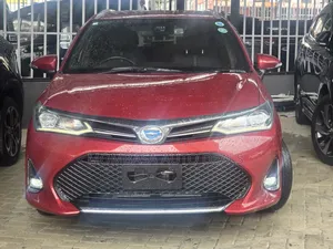 Toyota Corolla Fielder 2019 Red