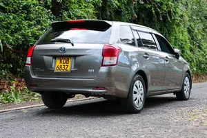 Toyota Corolla Fielder 2013 Gray