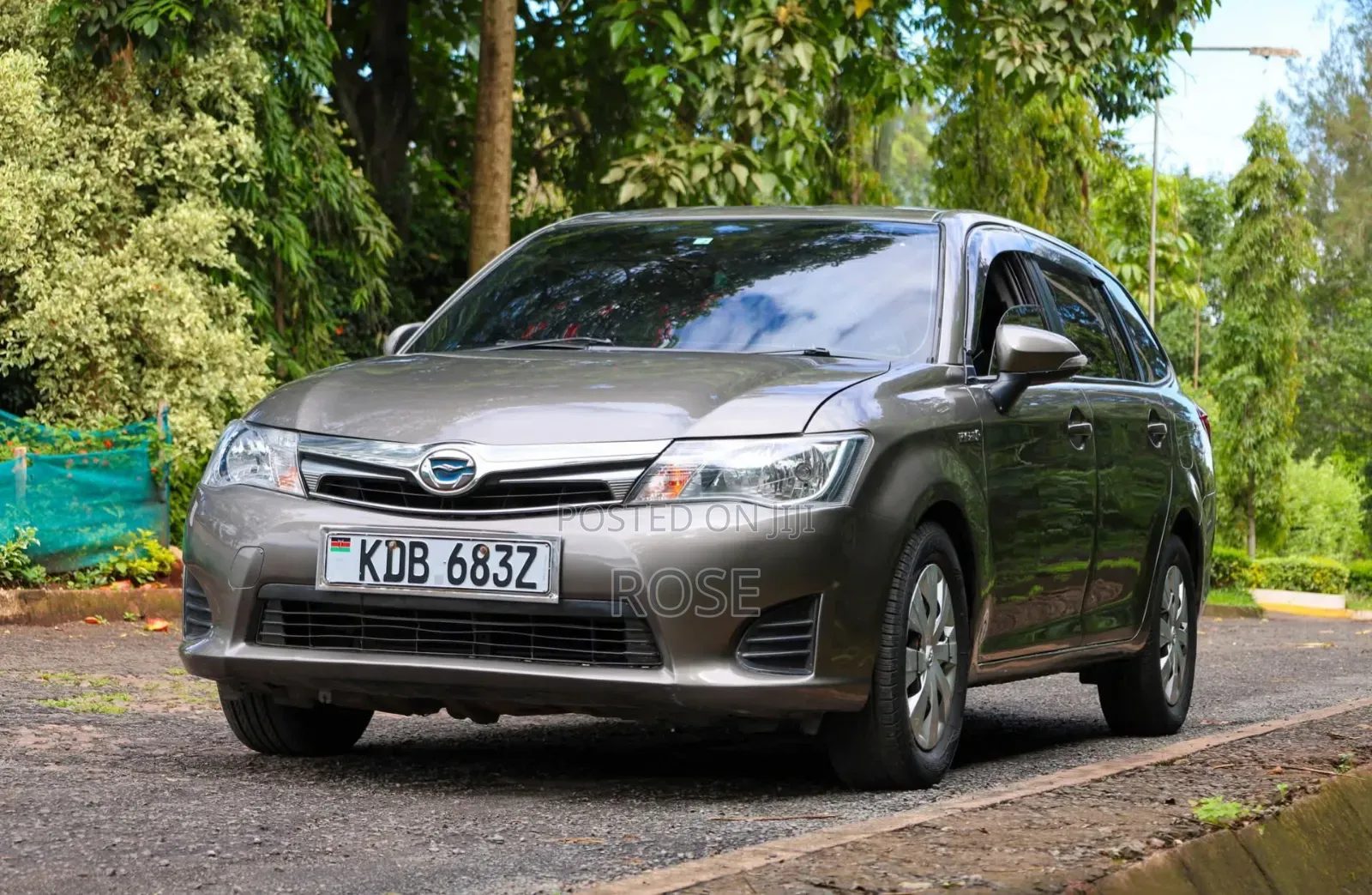Toyota Corolla Fielder 2013 Gray