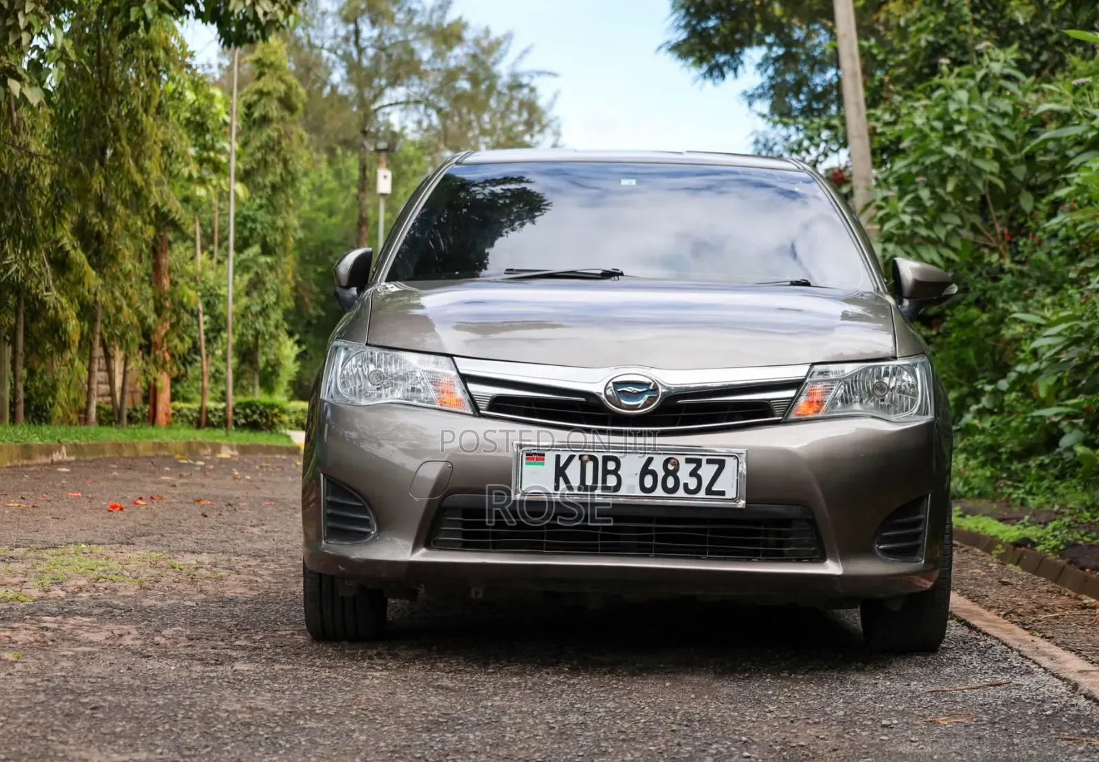 Toyota Corolla Fielder 2013 Gray