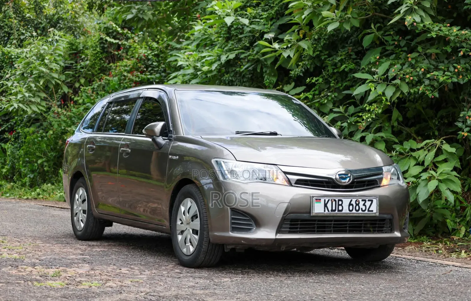 Toyota Corolla Fielder 2013 Gray