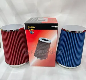 Reusable Long Cone Air Filters in Reed or Blue