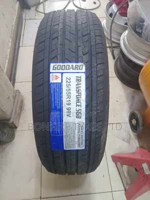 225/55r19 Goddard