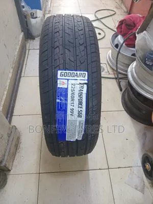 225/60r17 Goddard
