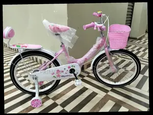 Size 20 Kids Bicycle With Trainer Wheels