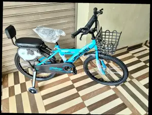 Size 16 Bicycle With Trainer Wheels