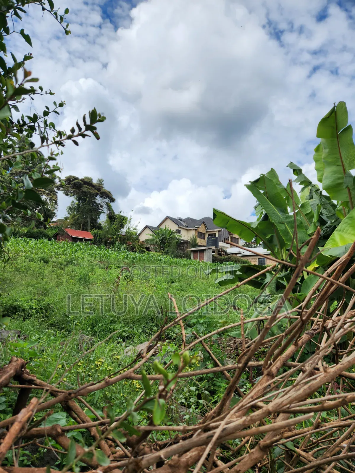 1⁄4 Acre Plots Ngong-Kibiko (Adis Ababa Close)