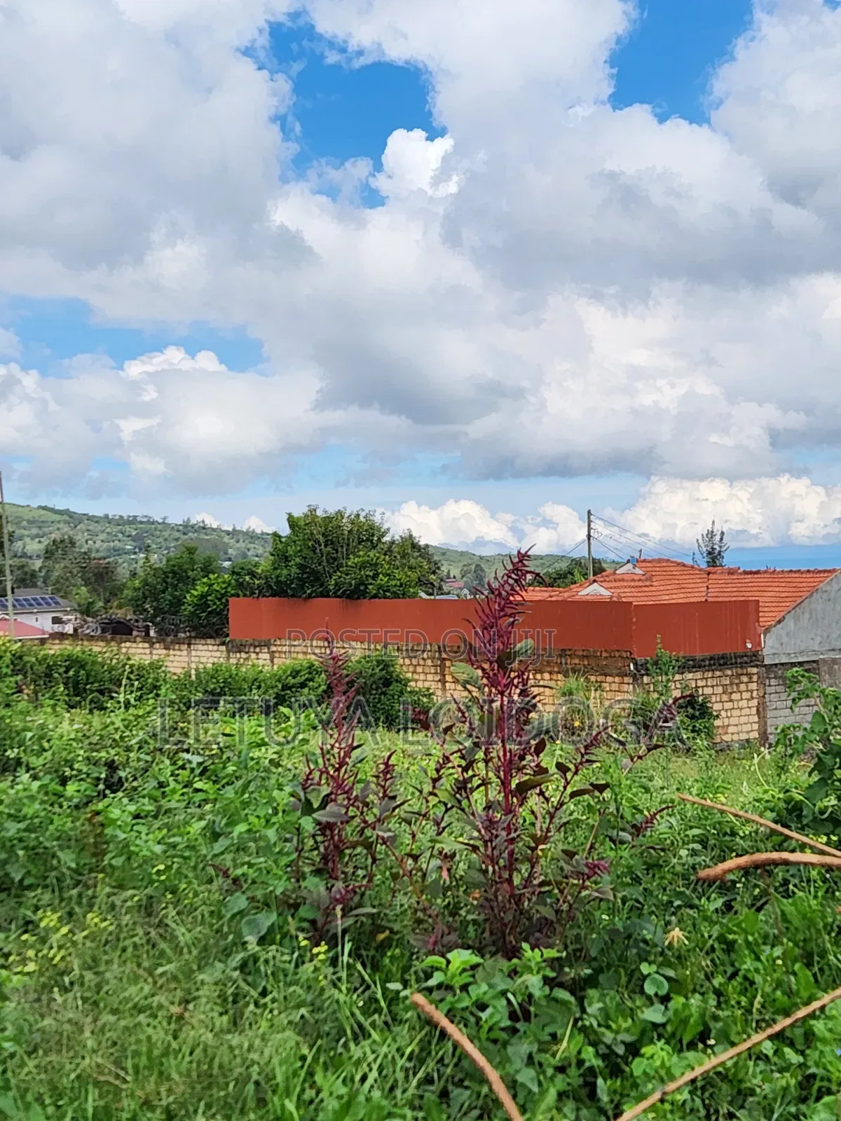 1⁄4 Acre Plots Ngong-Kibiko (Adis Ababa Close)