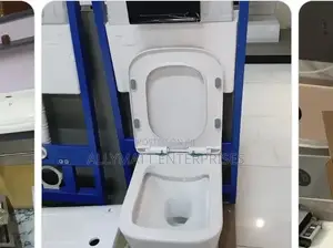 Wall Hung Toilet