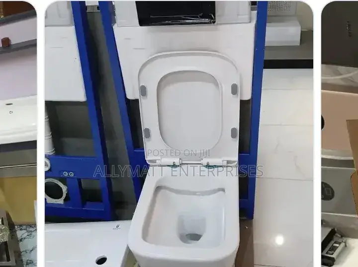 Wall Hung Toilet