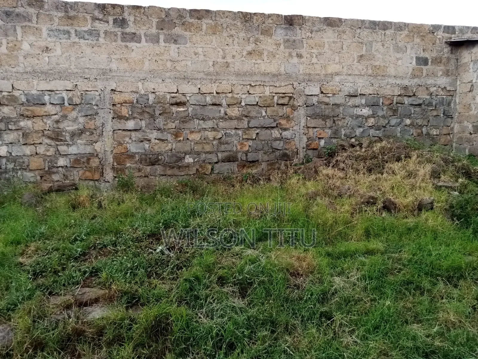 Land and Property