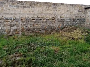 Land and Property