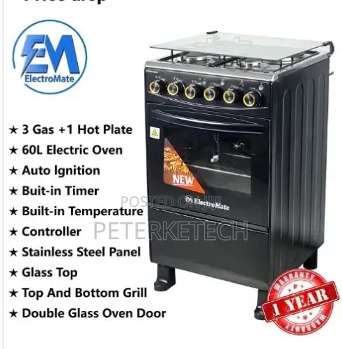 Electromate Standing Cooker