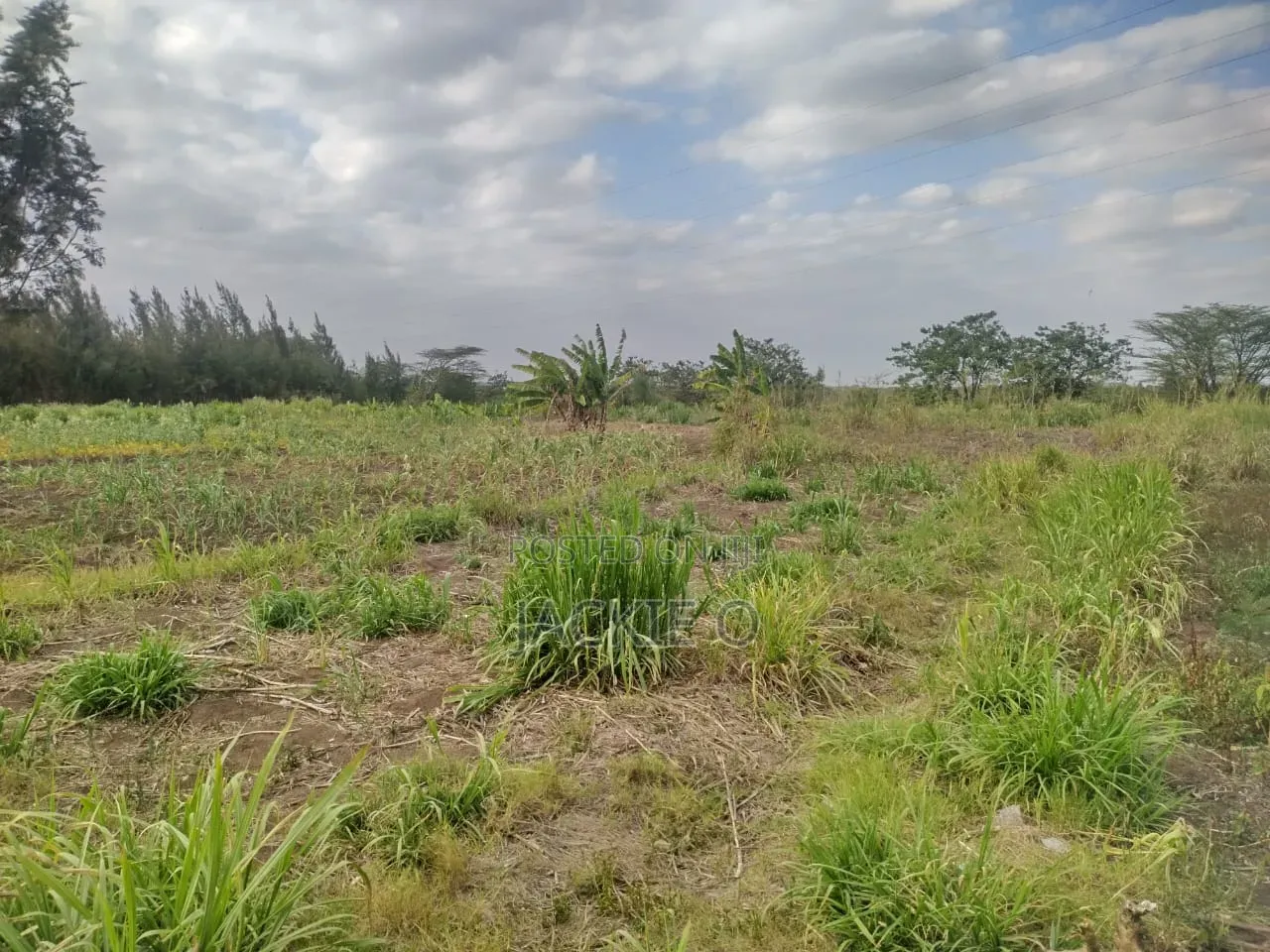 Plot for Lease / Rent