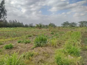 Plot for Lease / Rent
