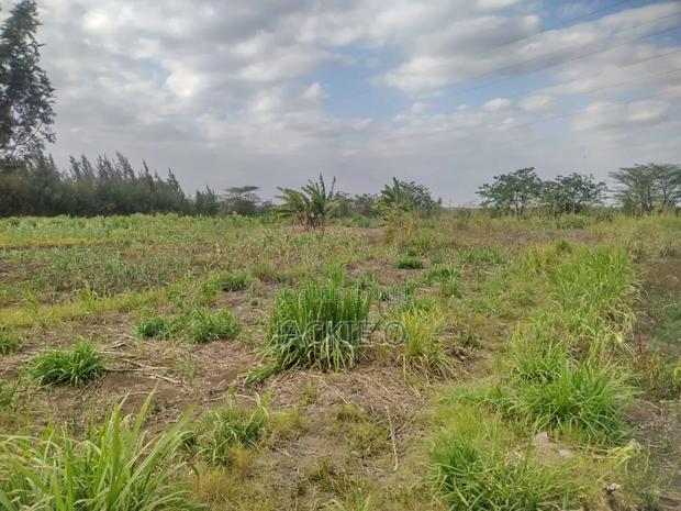 Plot for Lease / Rent