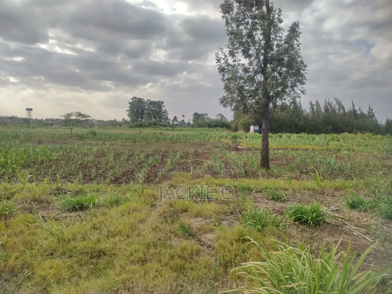 Plot for Lease / Rent